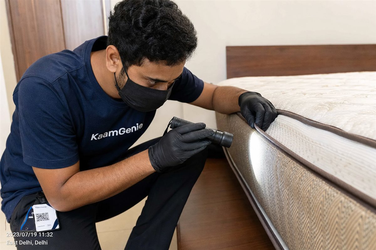 KaamGenie technician applying targeted bed bug treatment into the seams and frame joints of a bed in a Delhi home