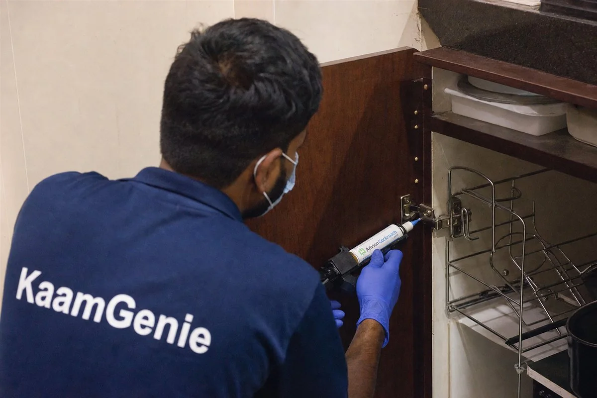 KaamGenie technician placing a pinhead dot of odourless cockroach gel bait inside a Delhi kitchen cabinet hinge