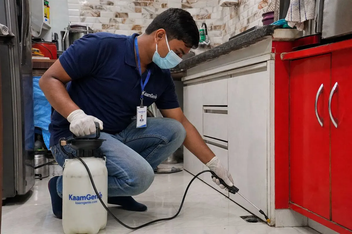 A KaamGenie technician treating a Delhi kitchen for a sudden cockroach swarm with targeted gel bait instead of blanket spray