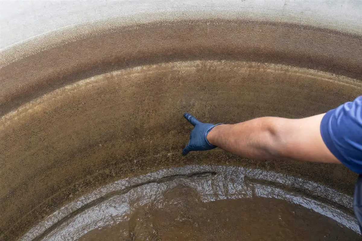 Close-up of sediment and biofilm build-up inside a Noida restaurant rooftop water tank before cleaning