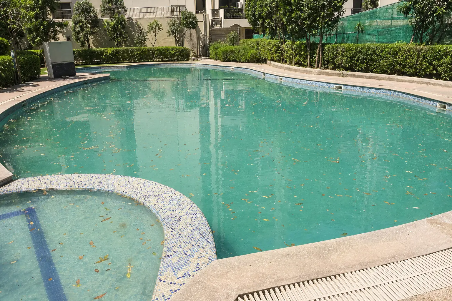 KaamGenie crew skimming and brushing a swimming pool during a routine clean in Delhi NCR