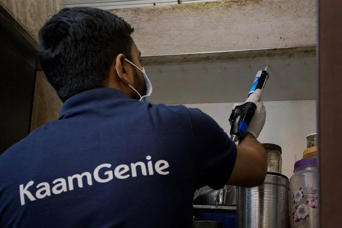 Close-up of odourless gel-bait dots placed inside a Delhi kitchen cabinet hinge, away from food surfaces