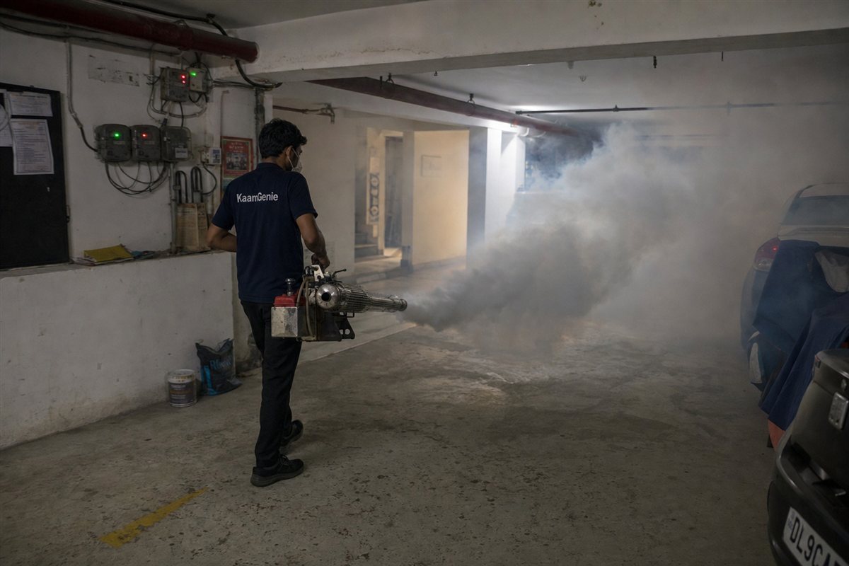 KaamGenie technician thermal-fogging a Delhi bungalow garden and boundary hedge for mosquito control