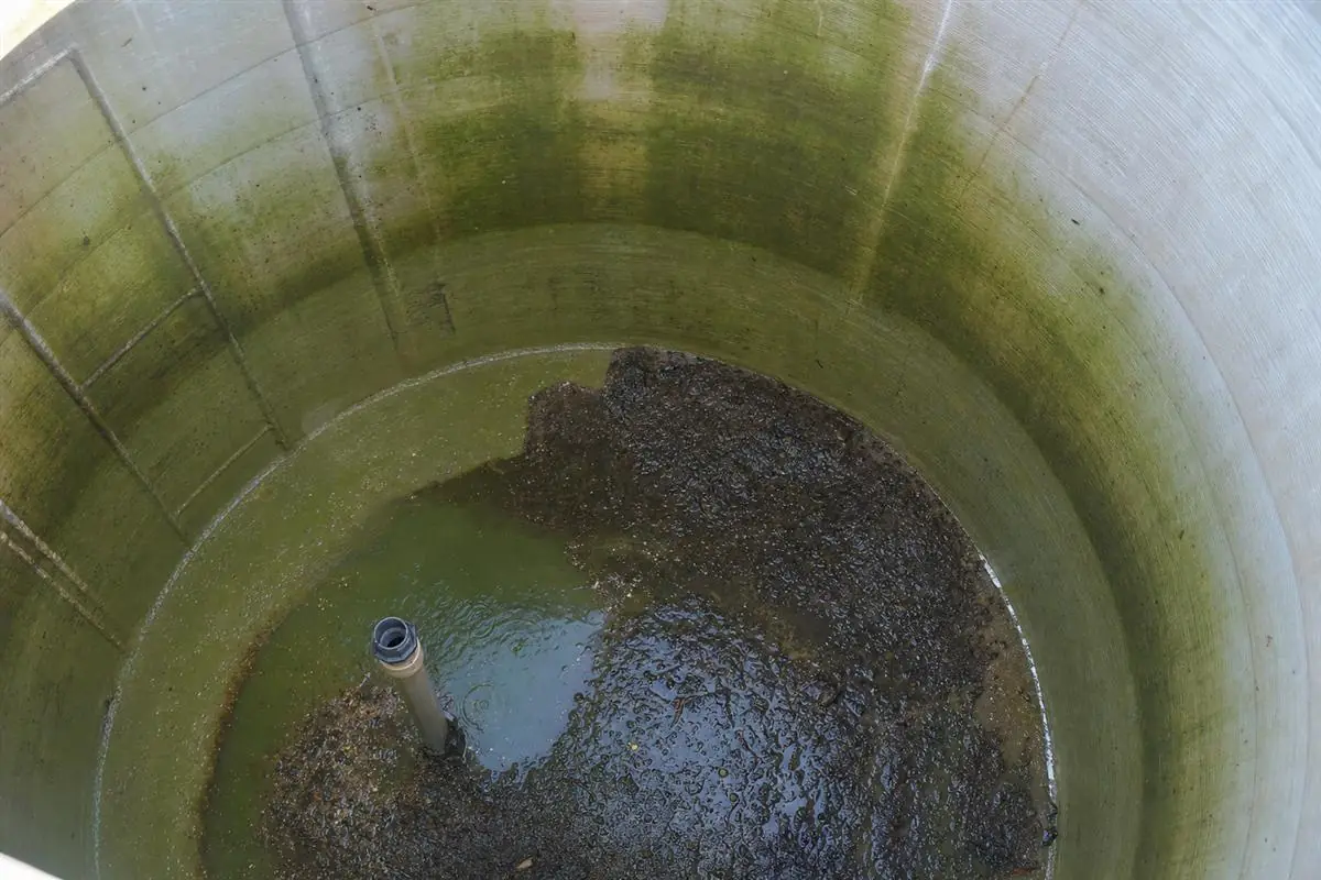 Close-up documentary photo of green algae and brown sludge inside a neglected Delhi rooftop water tank before KaamGenie cleaning