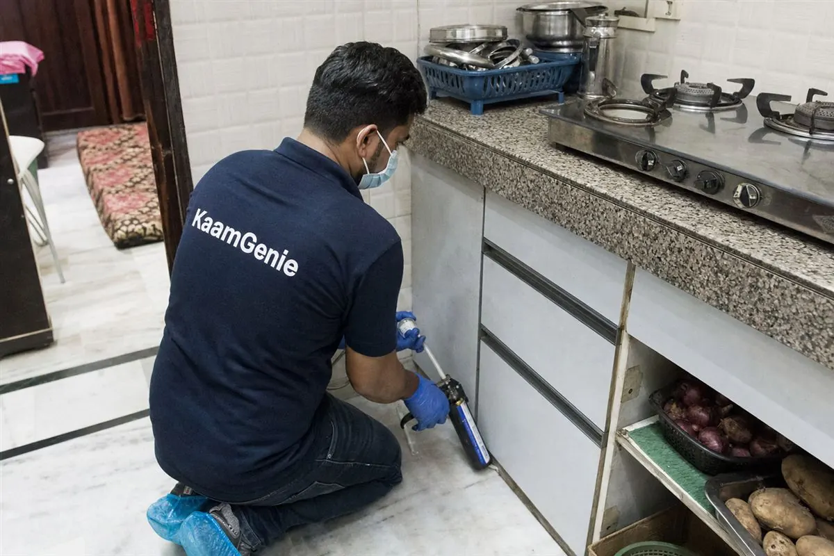 KaamGenie pest control technician treating a Budh Vihar property in North-West Delhi