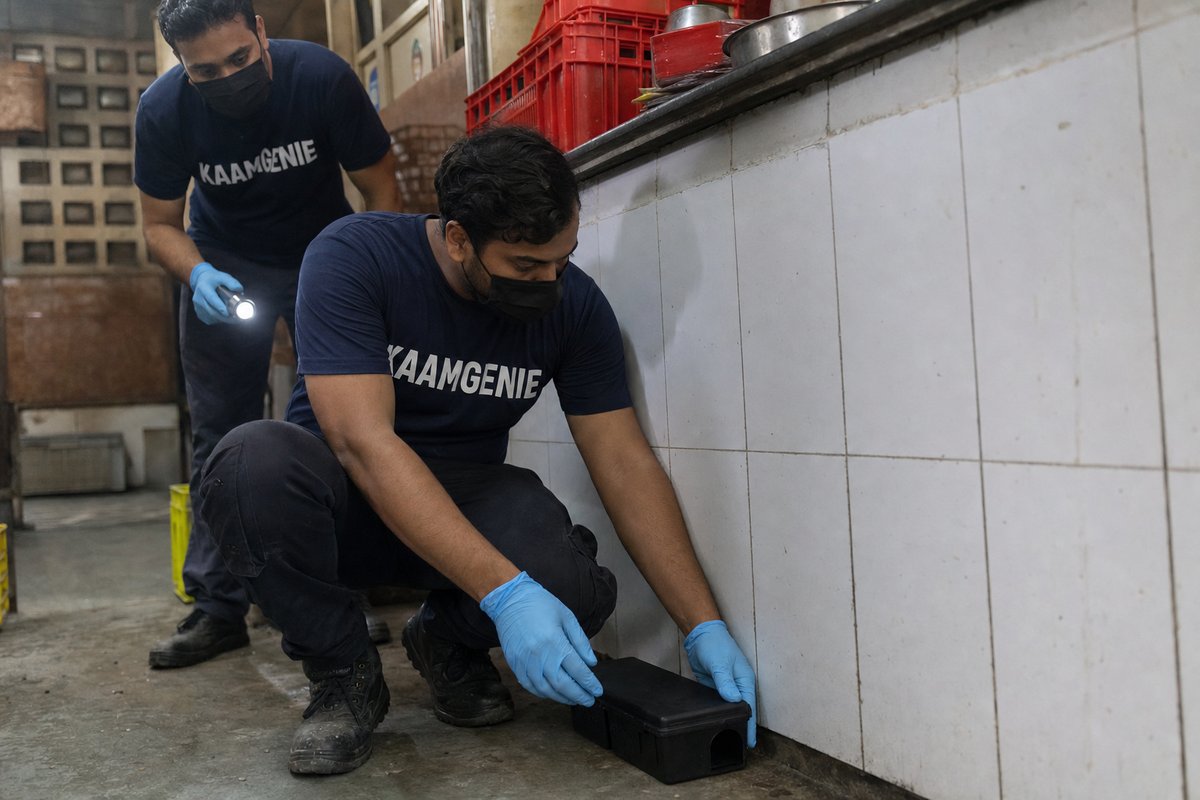 KaamGenie pest control technician treating a CR Park property in South Delhi