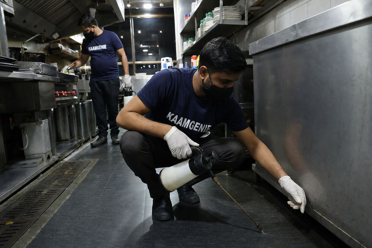 A commercial pest control technician documenting a treatment in a Delhi hospitality property for audit records