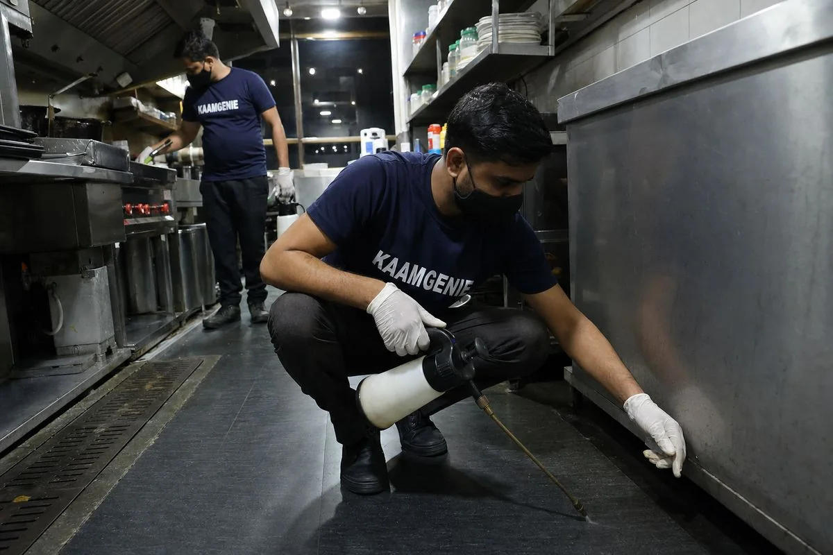 A commercial pest control technician documenting a treatment in a Delhi hospitality property for audit records