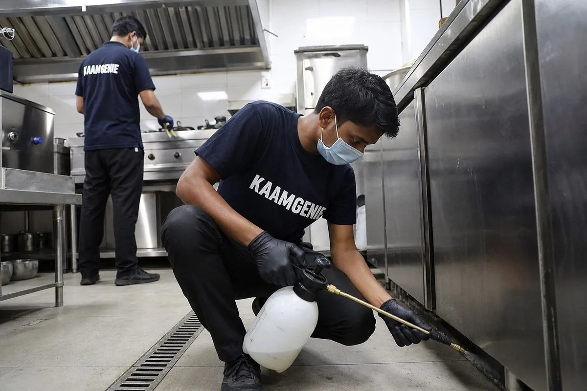 KaamGenie pest control technician treating a DLF Phase 4 property in Gurgaon