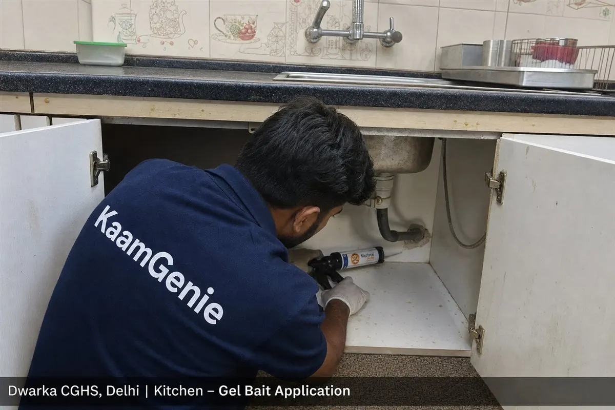 KaamGenie pest control technician treating a Dwarka Sector 1 property in West Delhi