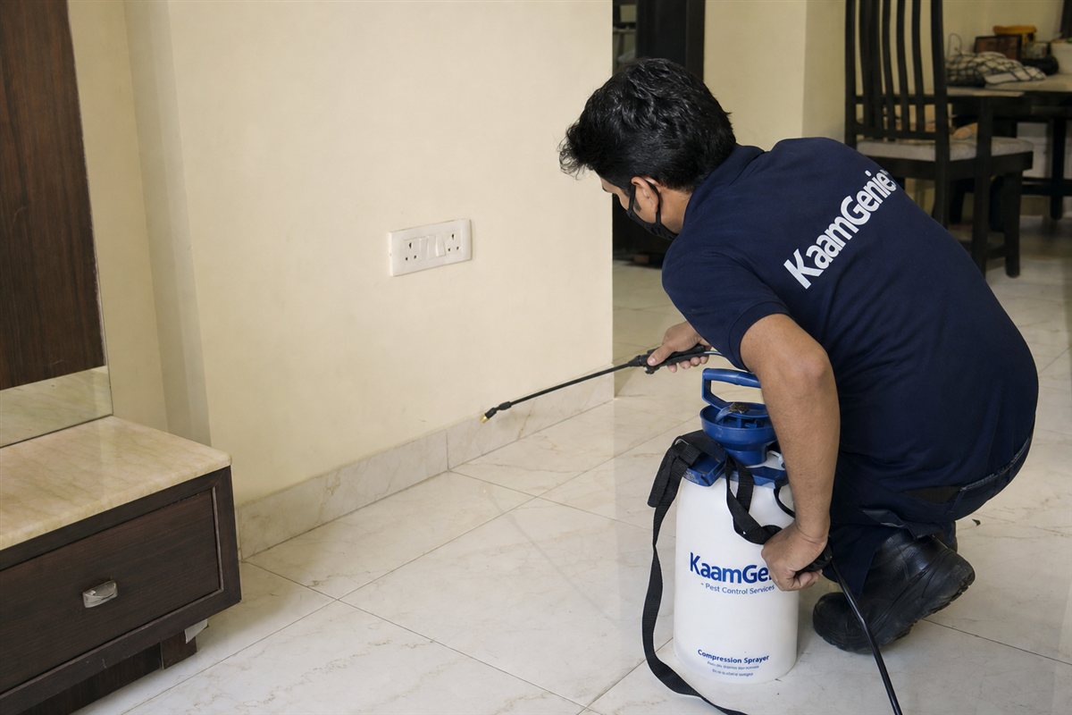 KaamGenie pest control technician treating a Dwarka Sector 17 property in West Delhi