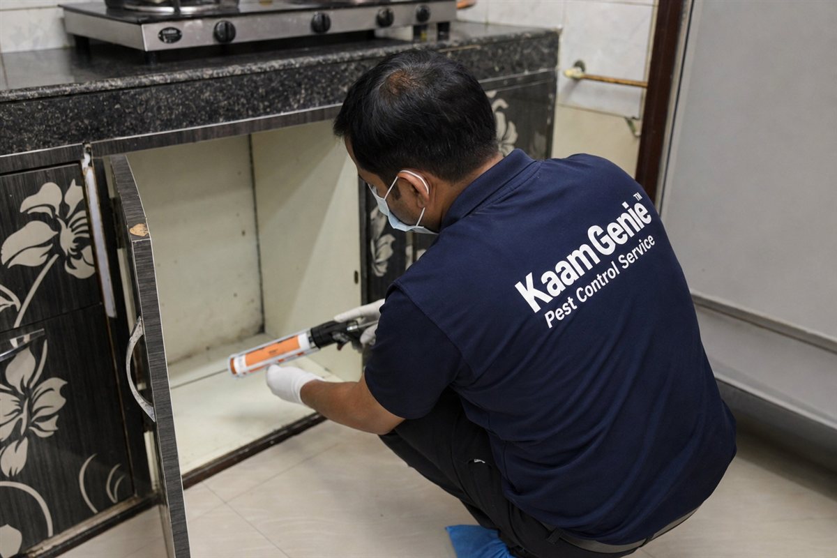 KaamGenie pest control technician treating a Fateh Nagar property in West Delhi