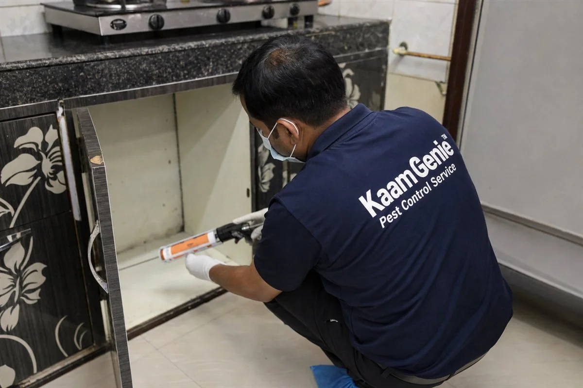 KaamGenie pest control technician treating a Fateh Nagar property in West Delhi