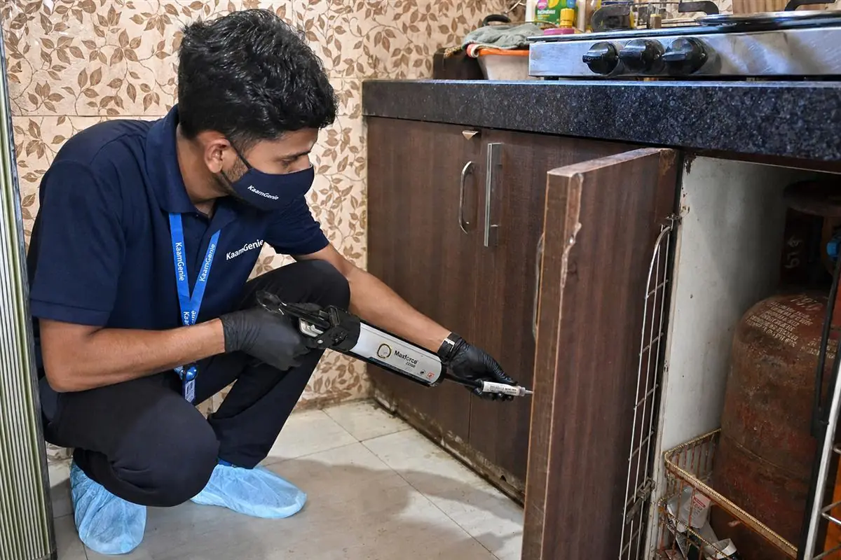 KaamGenie pest control technician treating a Gujranwala Town property in North-West Delhi