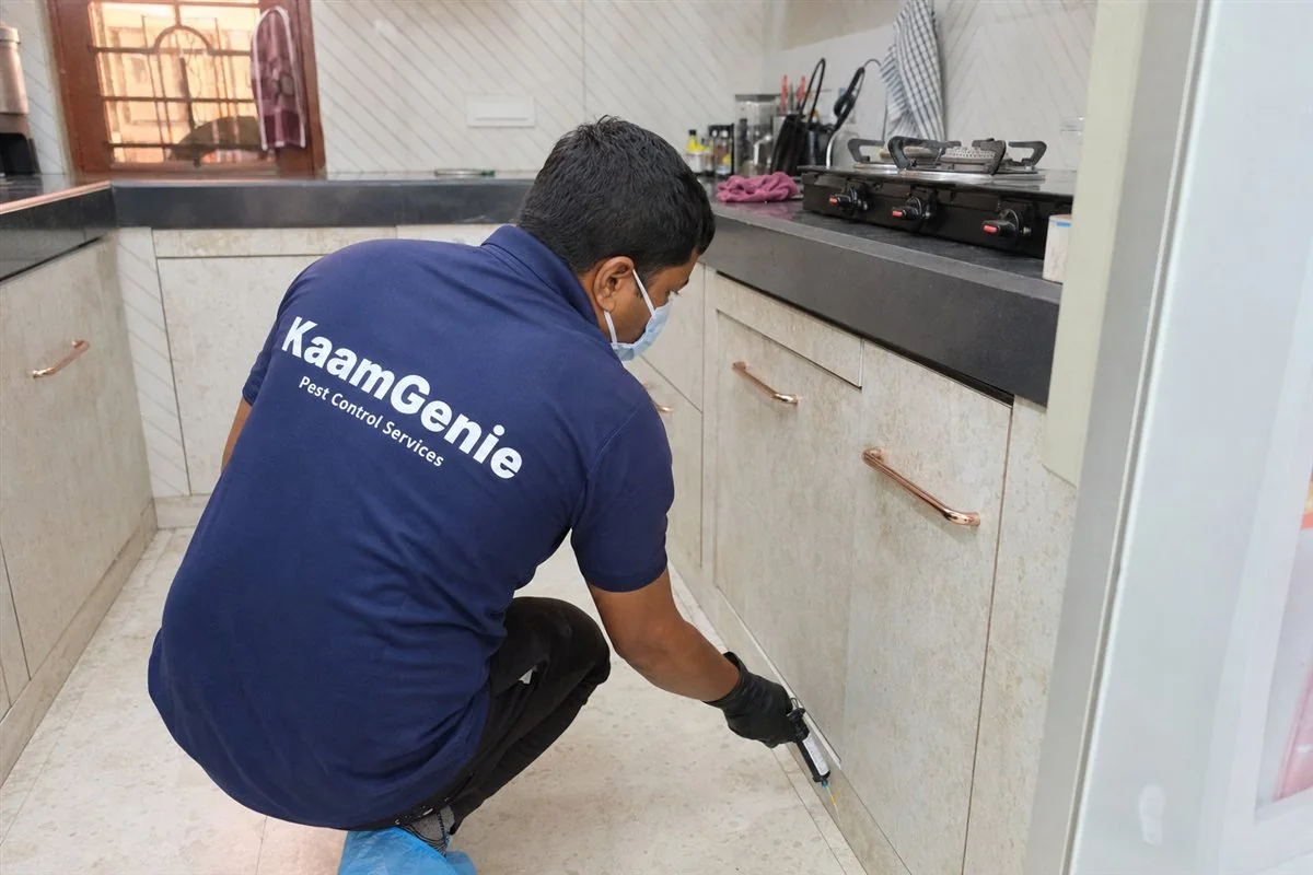 KaamGenie pest control technician treating a Gulabi Bagh property in North Delhi / Central Delhi