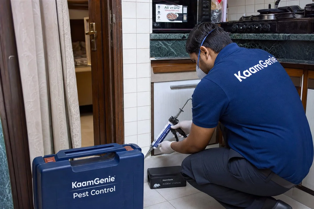 KaamGenie pest control technician treating a dense home near Hamdard University in Hamdard Nagar, South Delhi