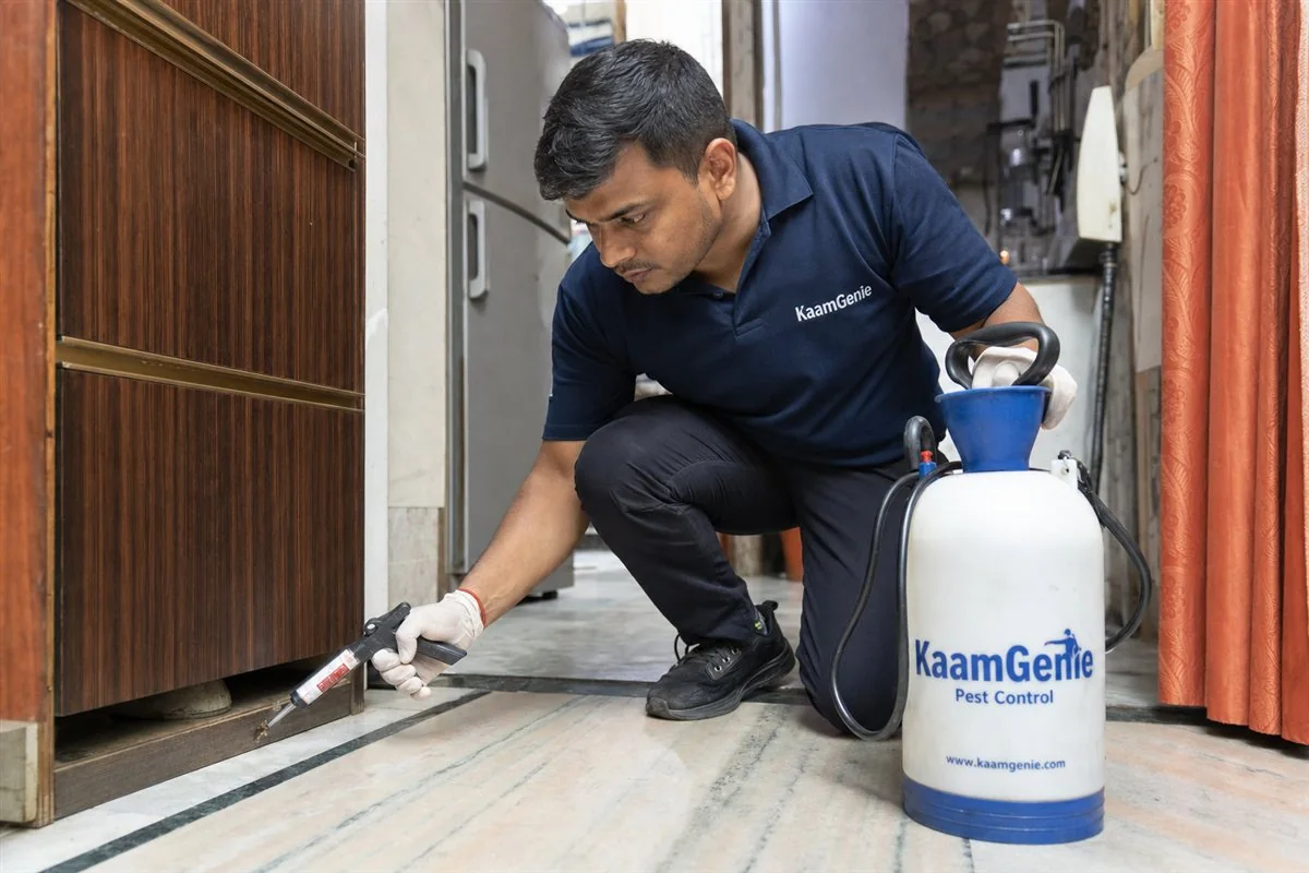 KaamGenie pest control technician treating a Malka Ganj property in North Delhi / Central Delhi