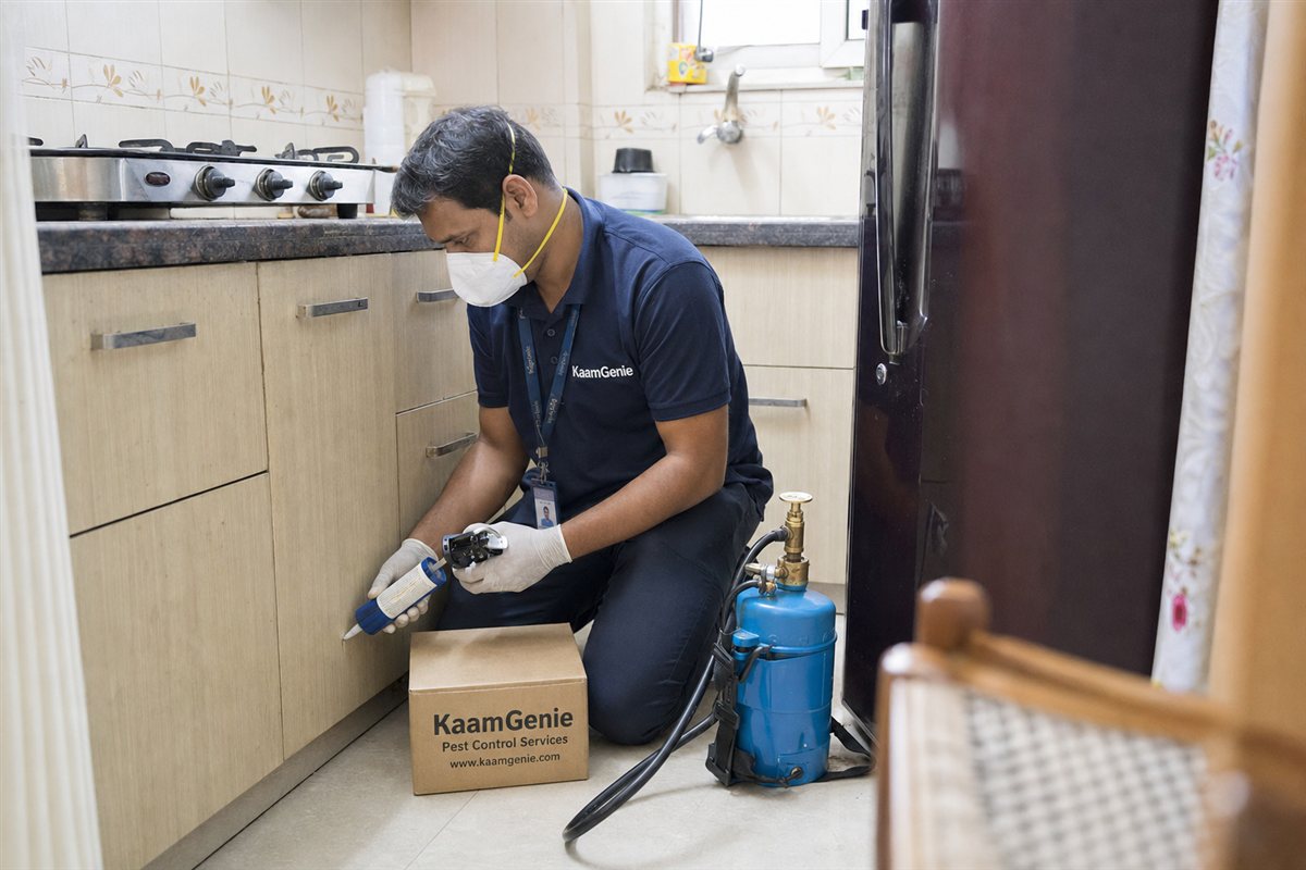 KaamGenie pest control technician treating a Matiala property in West Delhi