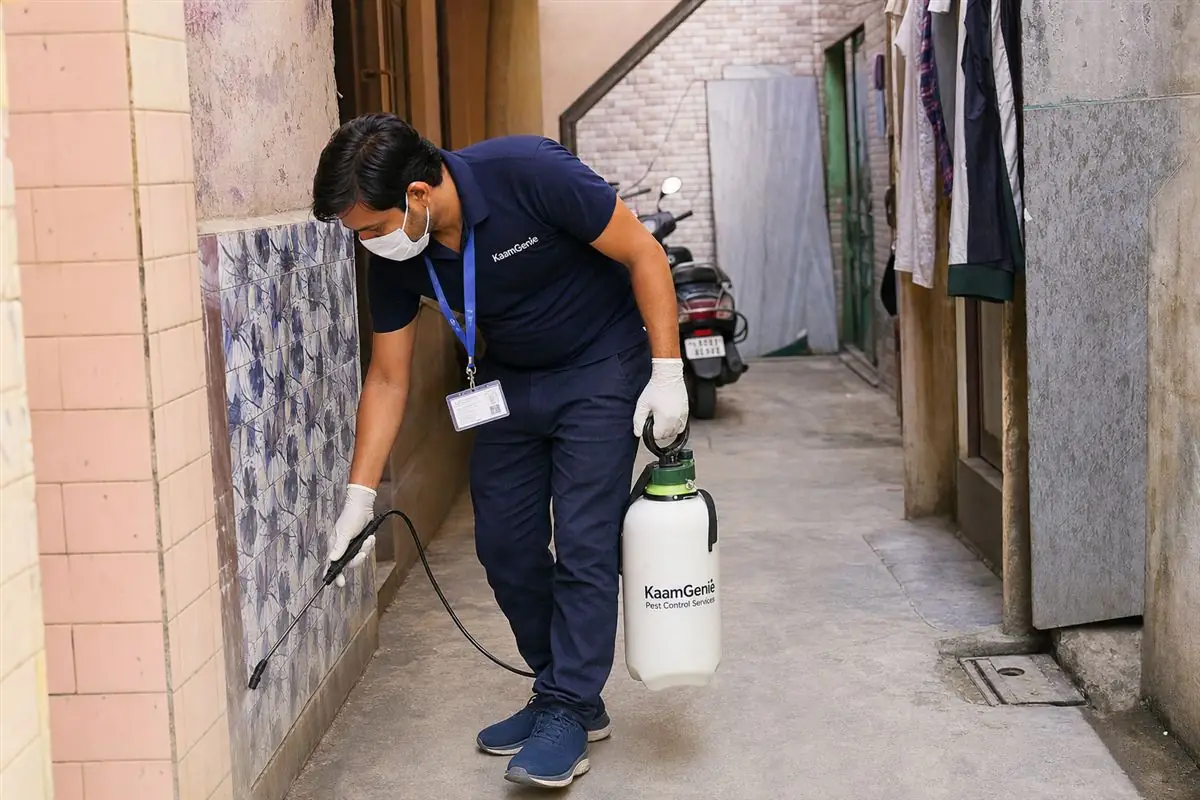 KaamGenie pest control technician treating a Nangloi property in West Delhi