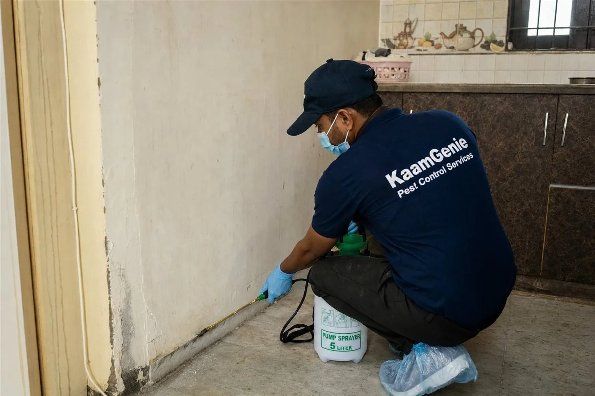 KaamGenie pest control technician treating a Pooth Kalan property in North-West Delhi