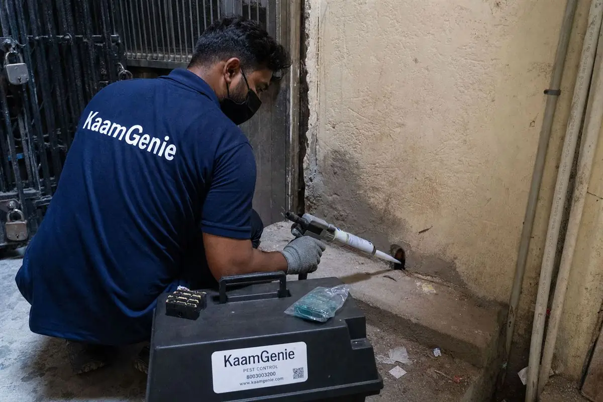 KaamGenie pest control technician treating a Prem Nagar property in North Delhi / Central Delhi