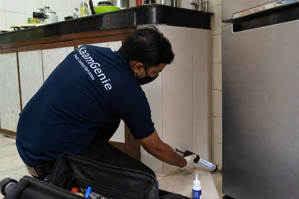 KaamGenie pest control technician treating a Sonia Vihar property in East Delhi