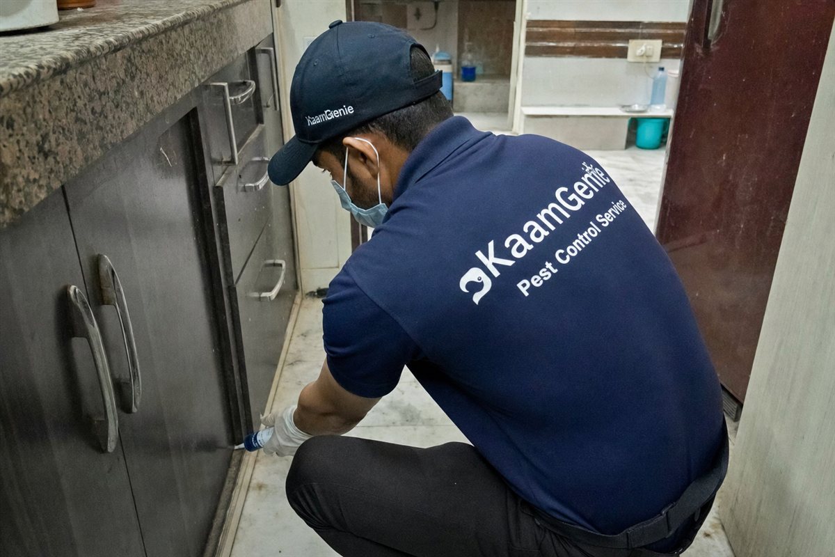 KaamGenie pest control technician applying cockroach gel along kitchen cabinets in a tightly packed Zakir Nagar building, Okhla, South-East Delhi