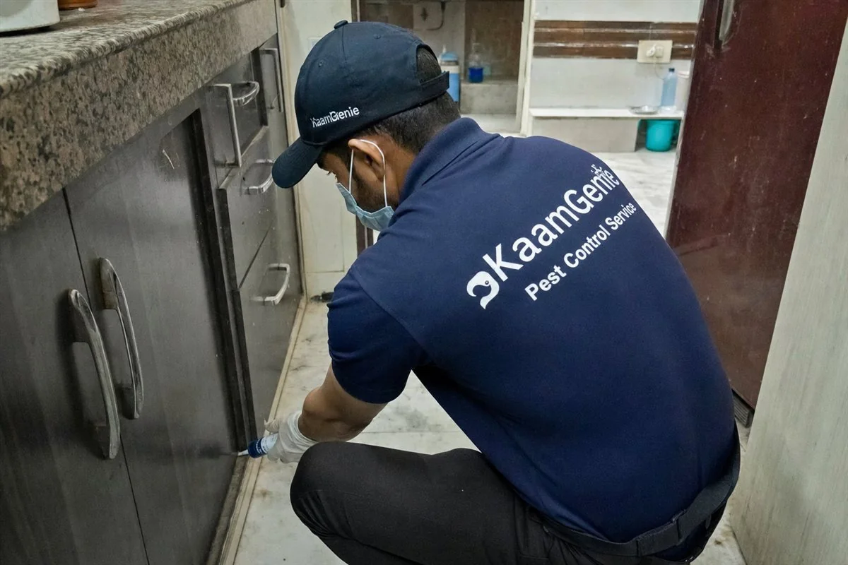 KaamGenie pest control technician applying cockroach gel along kitchen cabinets in a tightly packed Zakir Nagar building, Okhla, South-East Delhi