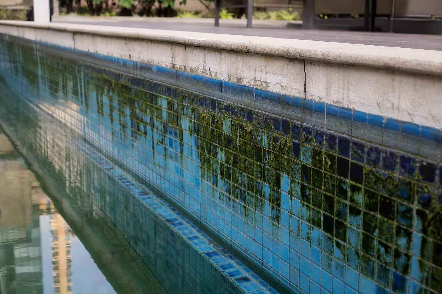 KaamGenie crew brushing and shocking a green algae-covered swimming pool in Delhi
